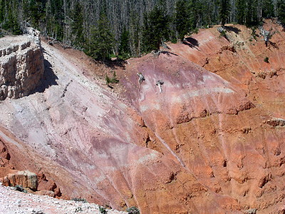 [Treeless amphitheater section where rocks have obviously fallen into the canyon.]